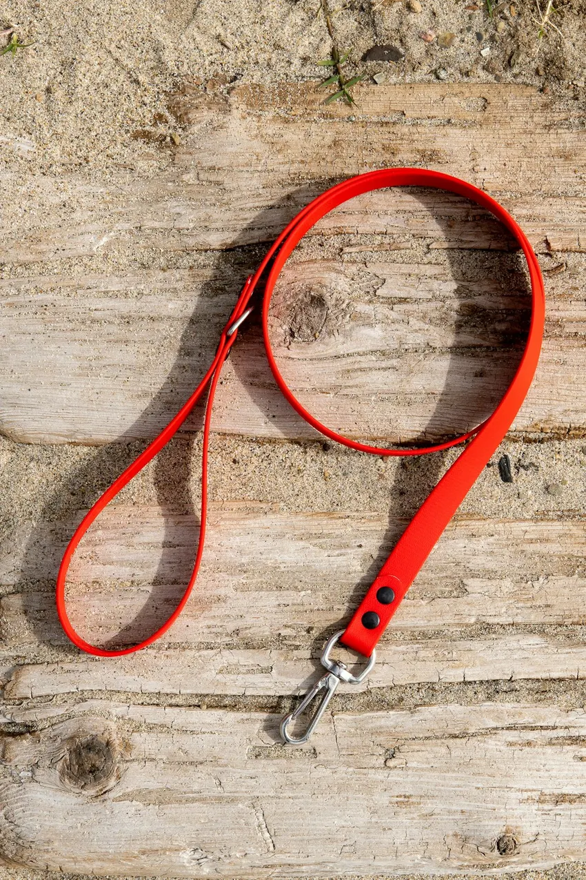 A leash laid out on a wooden surface